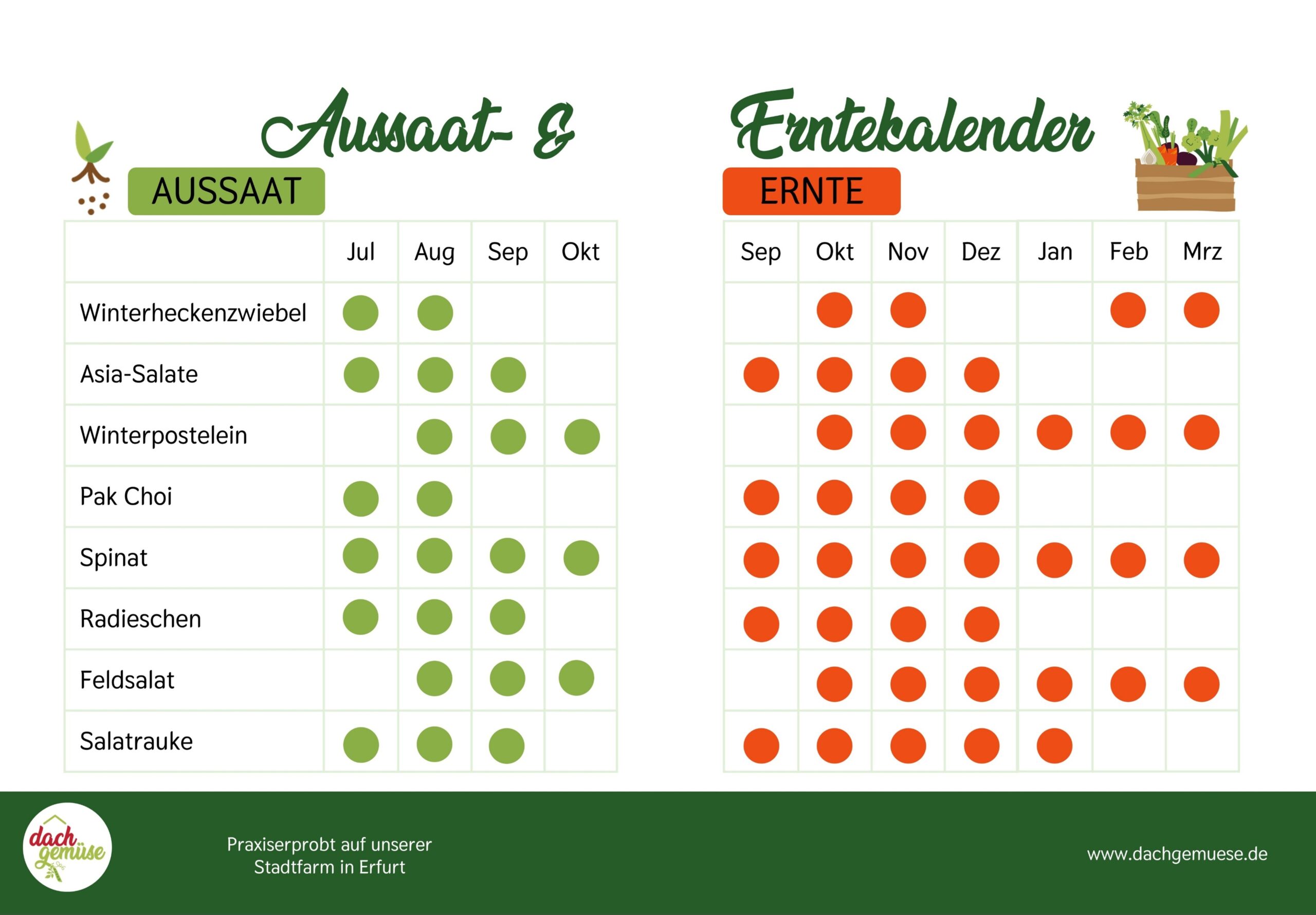 Aussaat- und Erntekalender für Wintergemüse Bio Saatgut im Wintergarten Starter Set von Dachgemüse