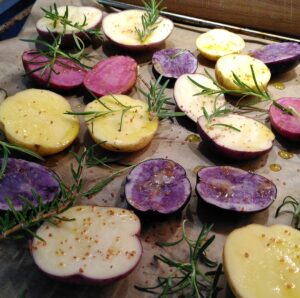 Bunte Rosmarinkartoffeln vor dem Backofen